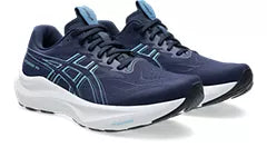 Men's ASICS GT-2000 14